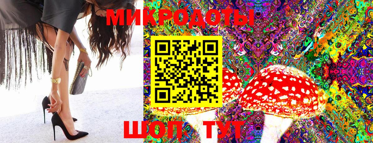 Нерюнгри  сколько стоит  Вход с VPN  Галлюциногенные грибы Magic Shrooms  Псилоцибиновые грибы MAGIC MUSHROOMS 